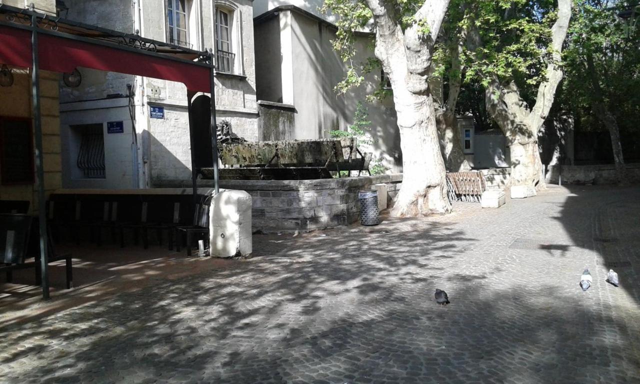 Chambre Sur Jardin Secret - Avignon Centre - Climatisee Eksteriør billede