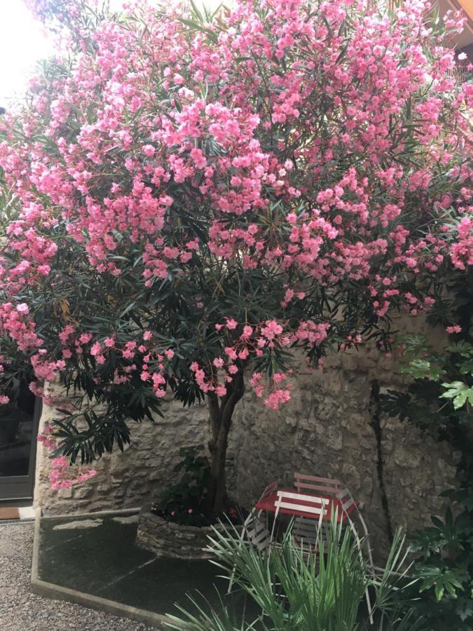 Chambre Sur Jardin Secret - Avignon Centre - Climatisee Eksteriør billede